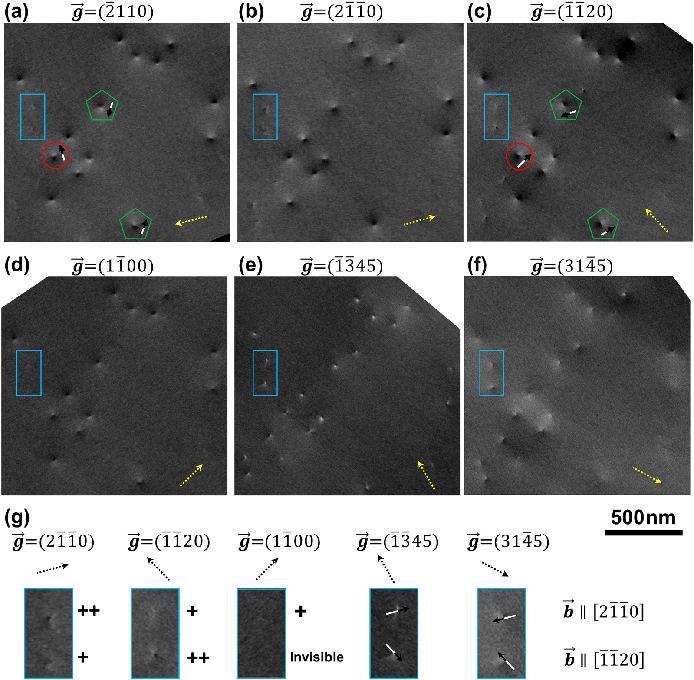 场发射陕西扫描电镜