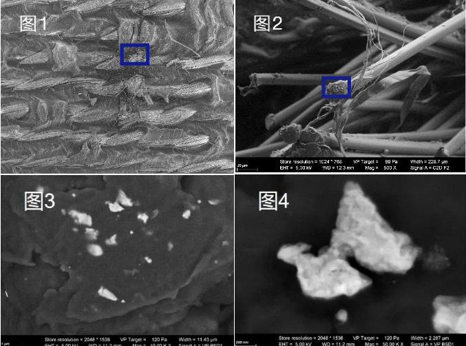 陕西蔡司陕西扫描电镜