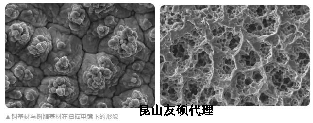 陕西蔡司陕西扫描电镜